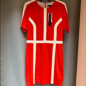 NWT Cynthia Steffe Red and White Dress